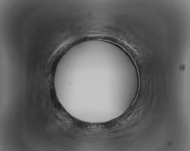 X0000102471351200808080959