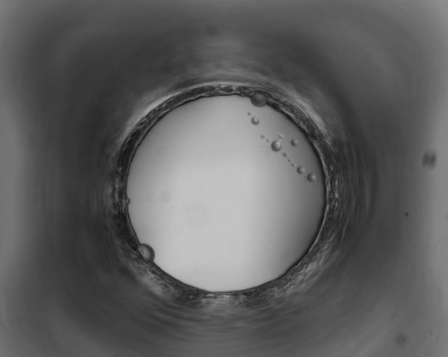 X0000102471352200808080959