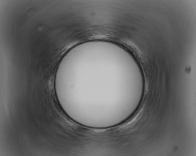 X0000102471353200808080959