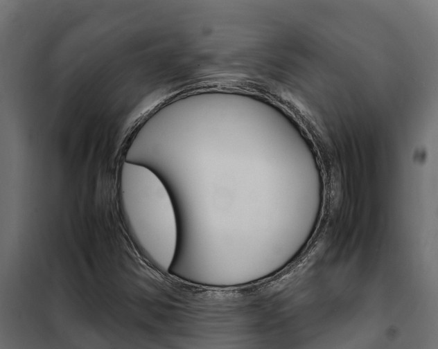 X0000102471354200808080959