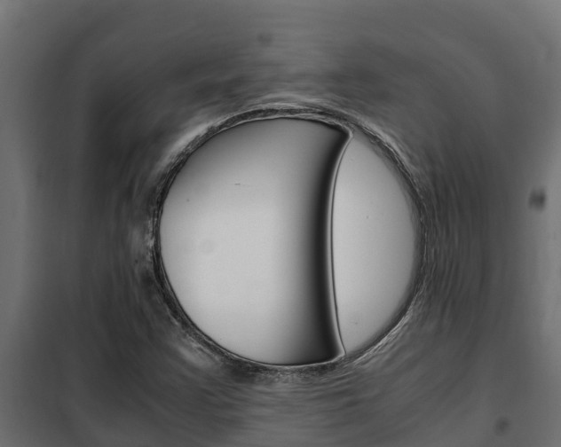 X0000102471355200808080959