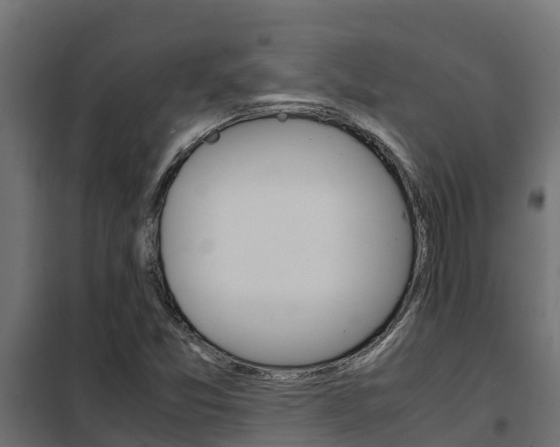 X0000102471357200808080959