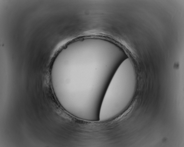 X0000102471358200808080959