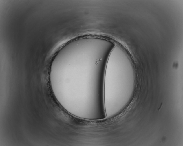 X0000102471359200808080959