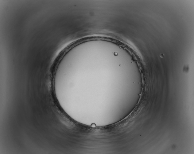 X0000102471360200808080959