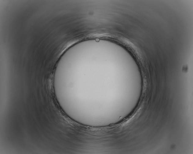 X0000102471361200808080959