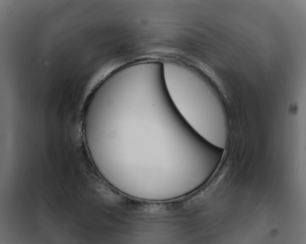 X0000102471362200808080959