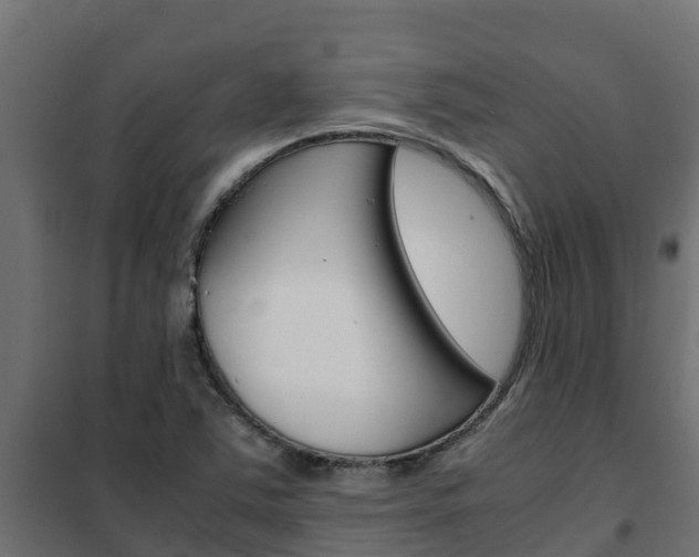 X0000102471363200808080959