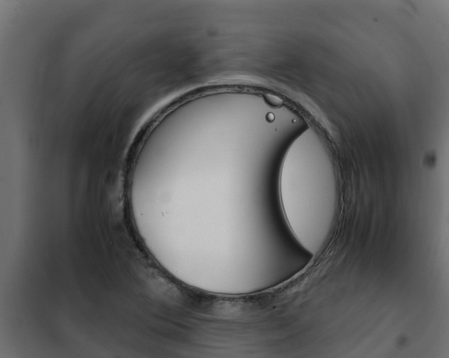 X0000102471364200808080959