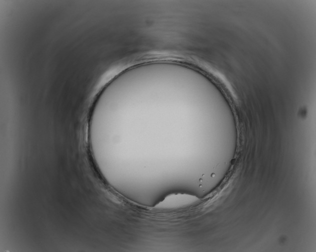 X0000102471365200808080959