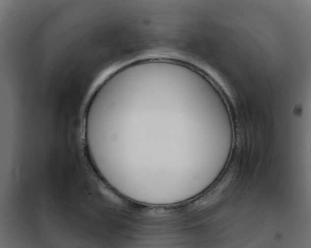 X0000102471366200808080959