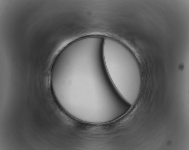 X0000102471367200808080959