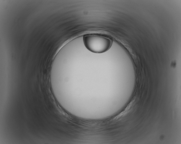 X0000102471369200808080959