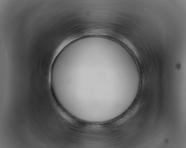 X0000102471370200808080959