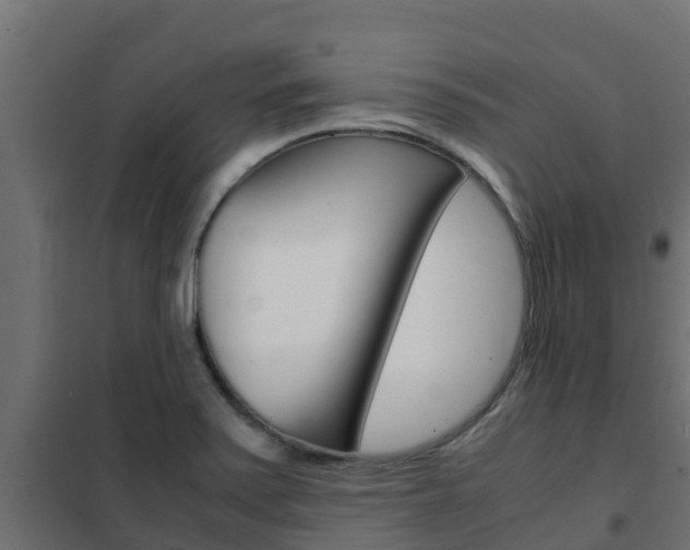 X0000102471371200808080959