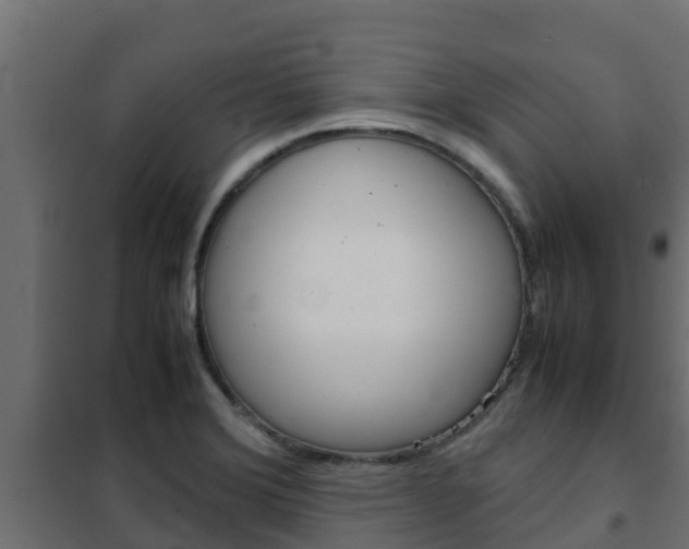X0000102471372200808080959