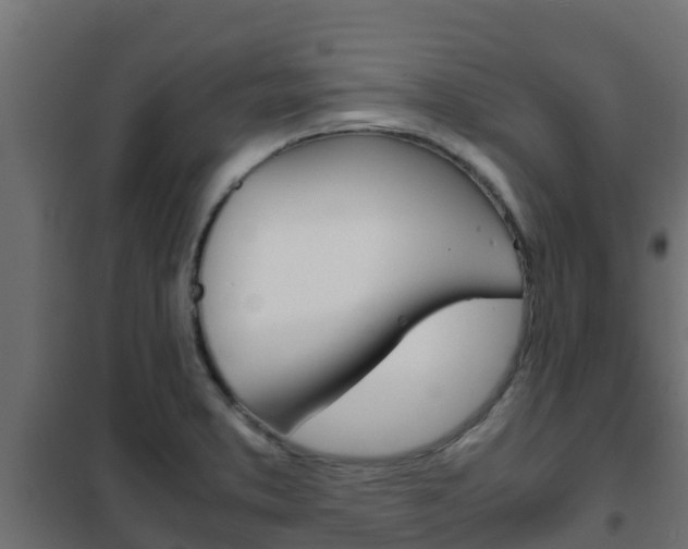 X0000102471373200808080959