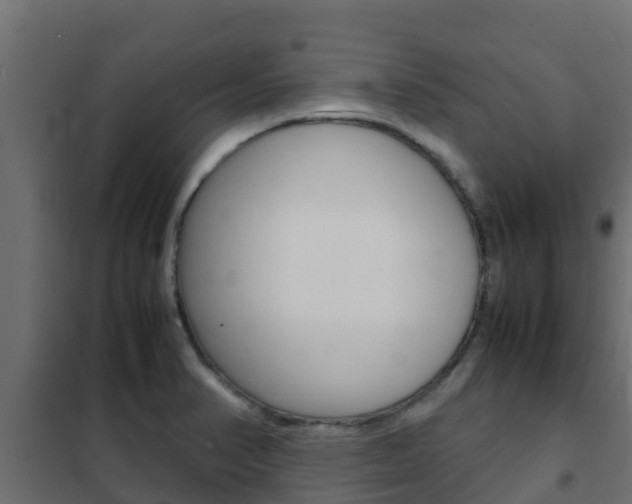 X0000102471374200808080958