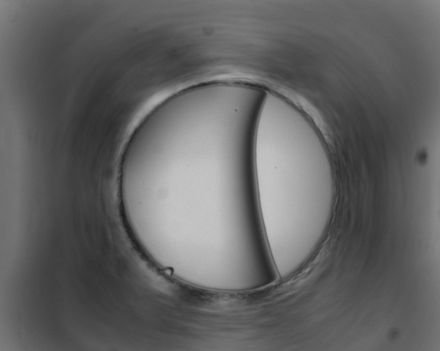X0000102471375200808080958