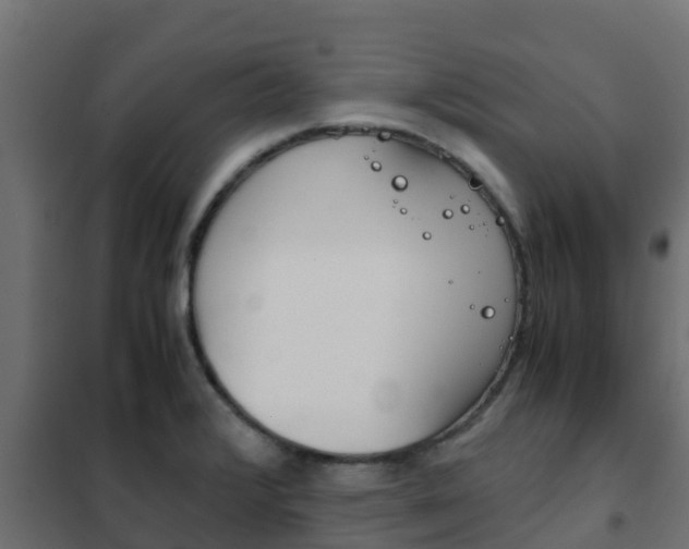 X0000102471376200808080958