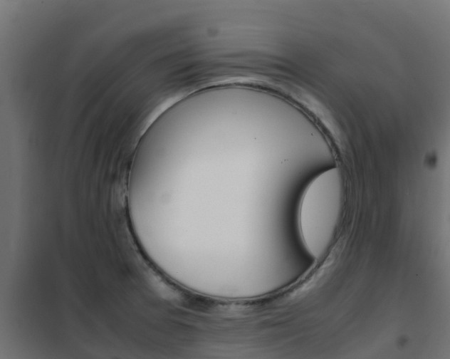 X0000102471377200808080958