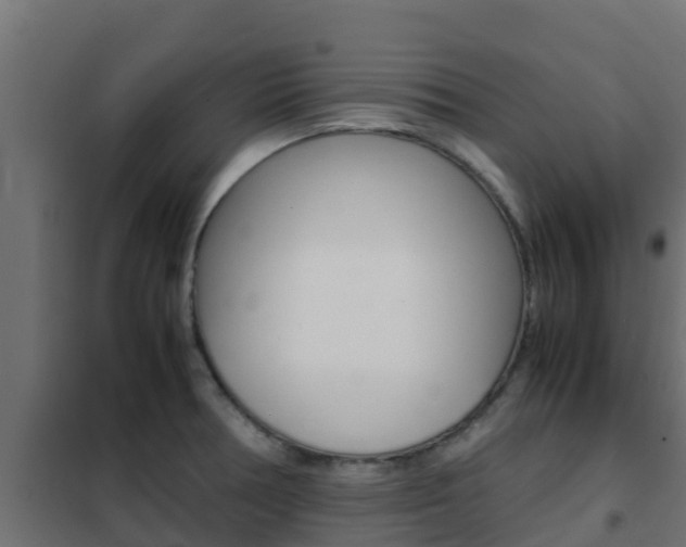 X0000102471378200808080958