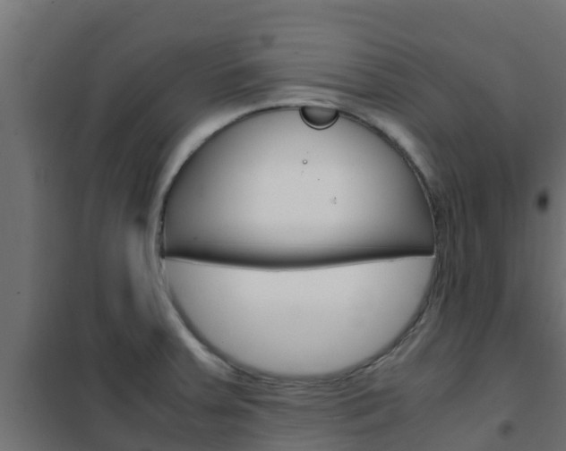 X0000102471379200808080958