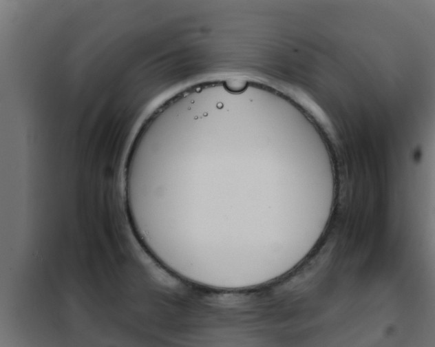 X0000102471380200808080958