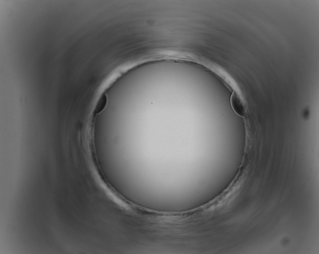 X0000102471381200808080958