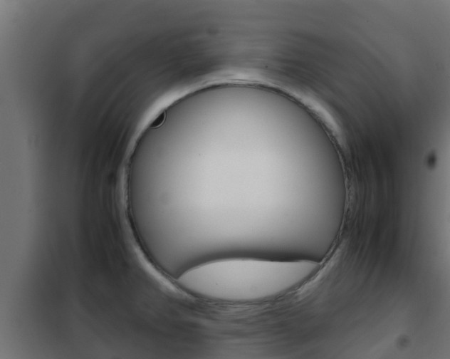 X0000102471382200808080958