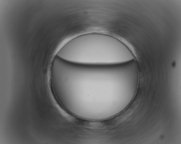 X0000102471383200808080958