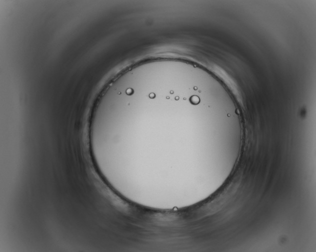 X0000102471384200808080958