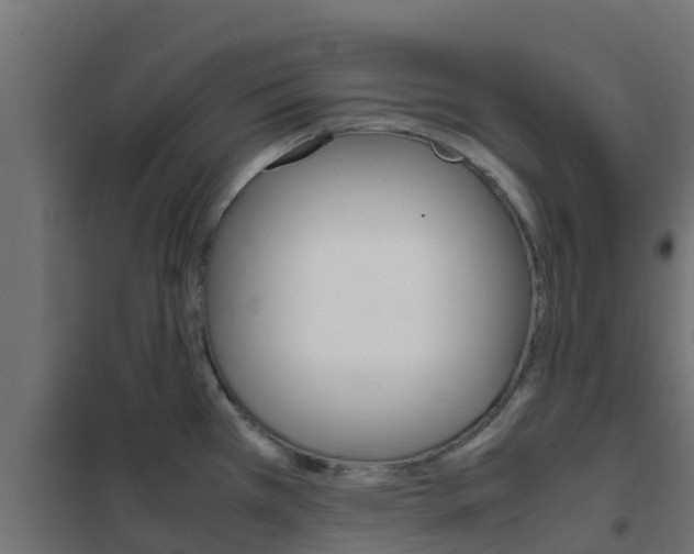 X0000102471385200808080958