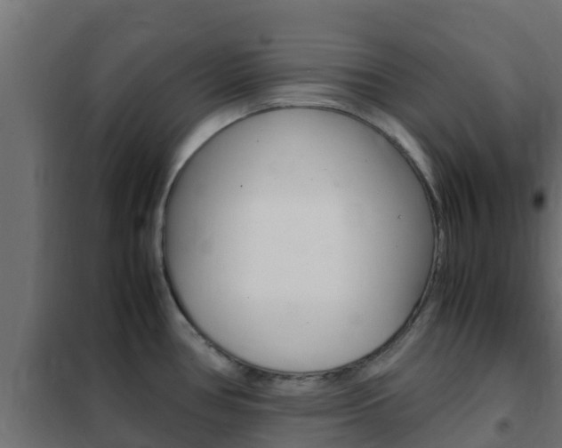 X0000102471386200808080958
