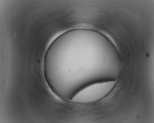 X0000102471387200808080958