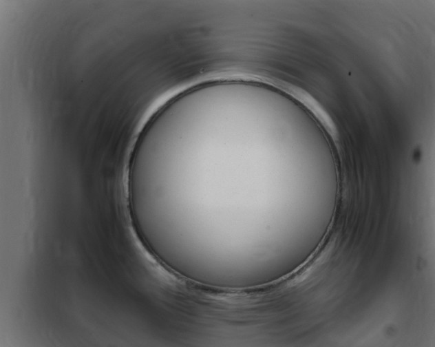 X0000102471388200808080958