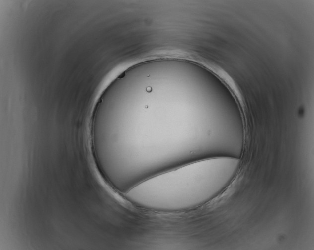 X0000102471389200808080958