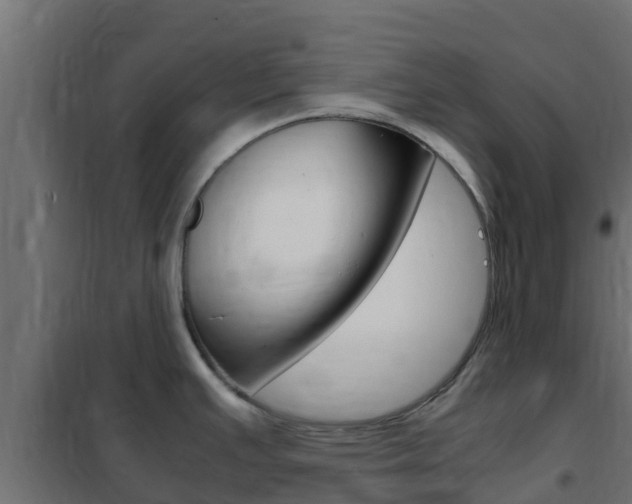 X0000102471391200808080958