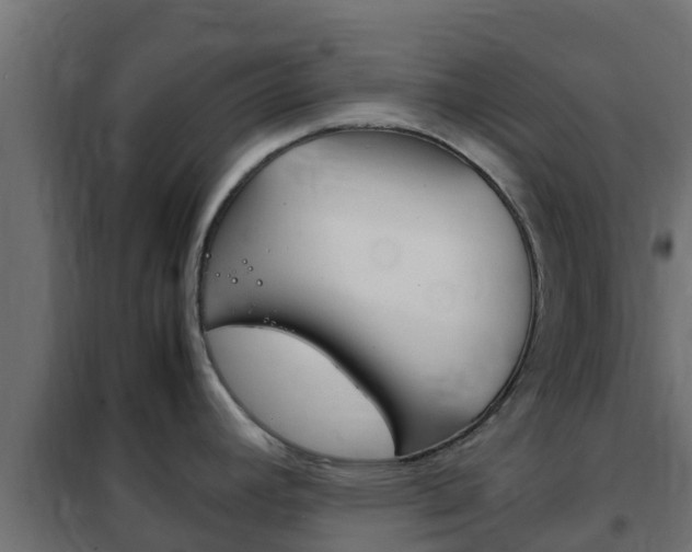 X0000102471392200808080958