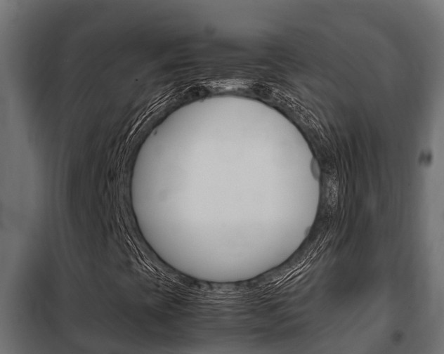 X0000102471393200808080958