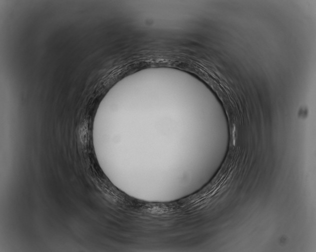 X0000102471395200808080958