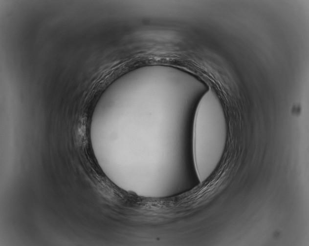 X0000102471396200808080958