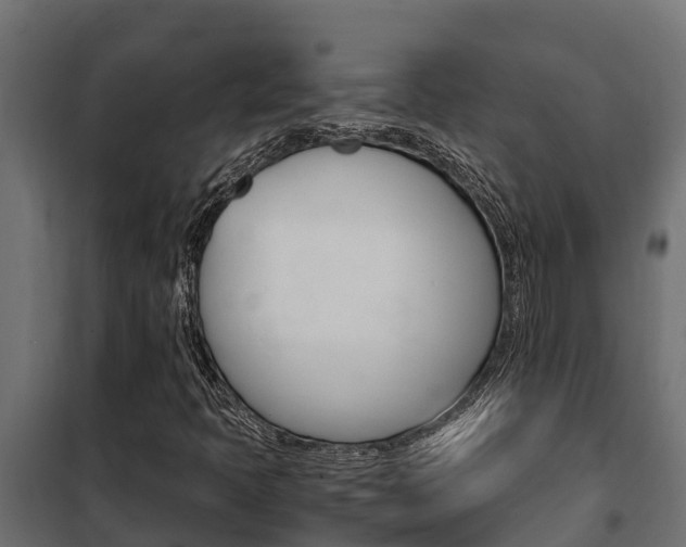X0000102471397200808080958