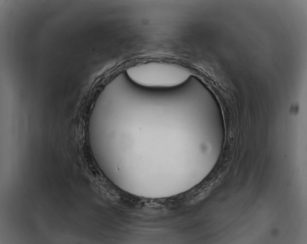 X0000102471398200808080958