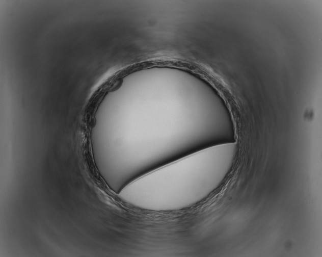 X0000102471400200808080958