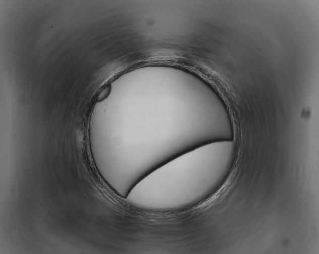 X0000102471401200808080958