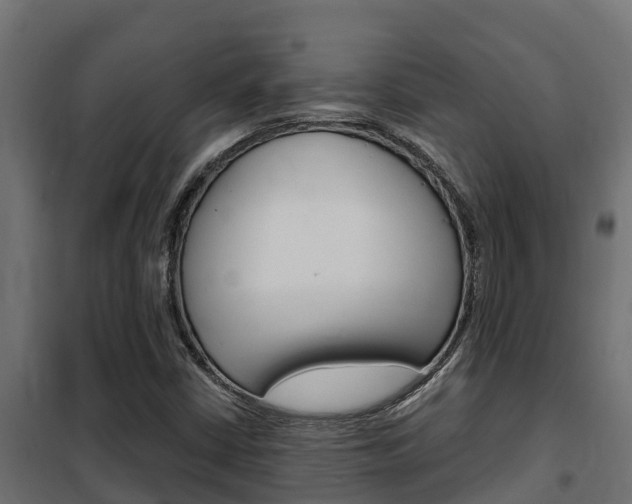 X0000102471402200808080958