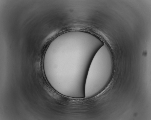 X0000102471403200808080958