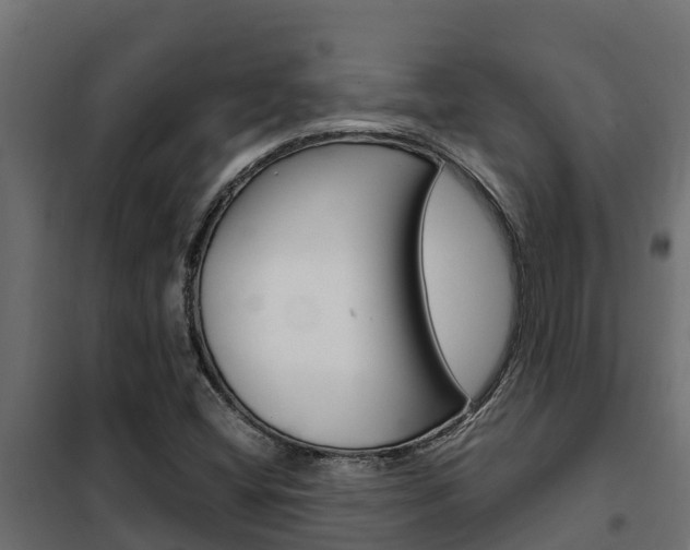 X0000102471404200808080958