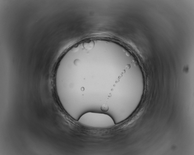 X0000102471405200808080958